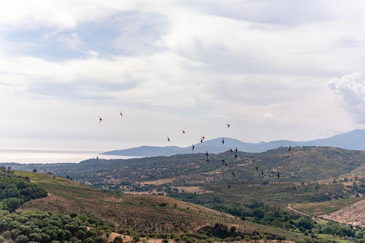 Corte Degli Ulivi Terradura Bagian luar foto