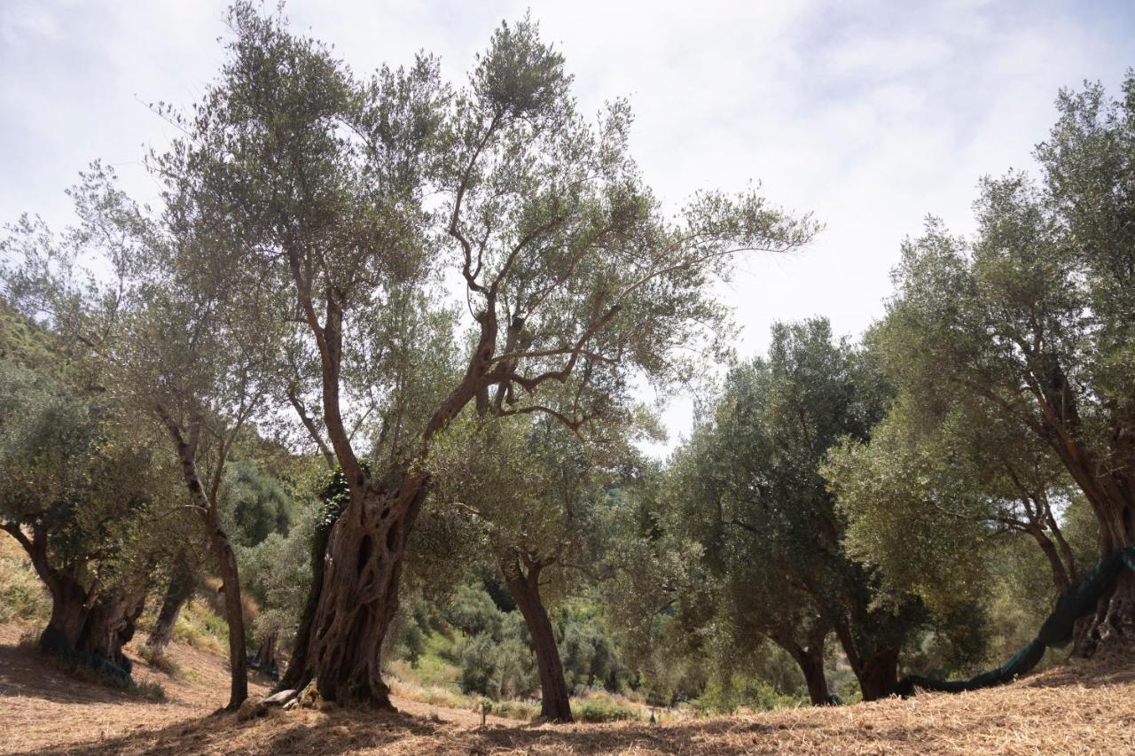 Corte Degli Ulivi Terradura Bagian luar foto